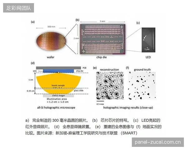 生物基Nomex替代品的研发，将在2027年后开启一个全新的、聚焦可持续性的TTP标定评估赛道